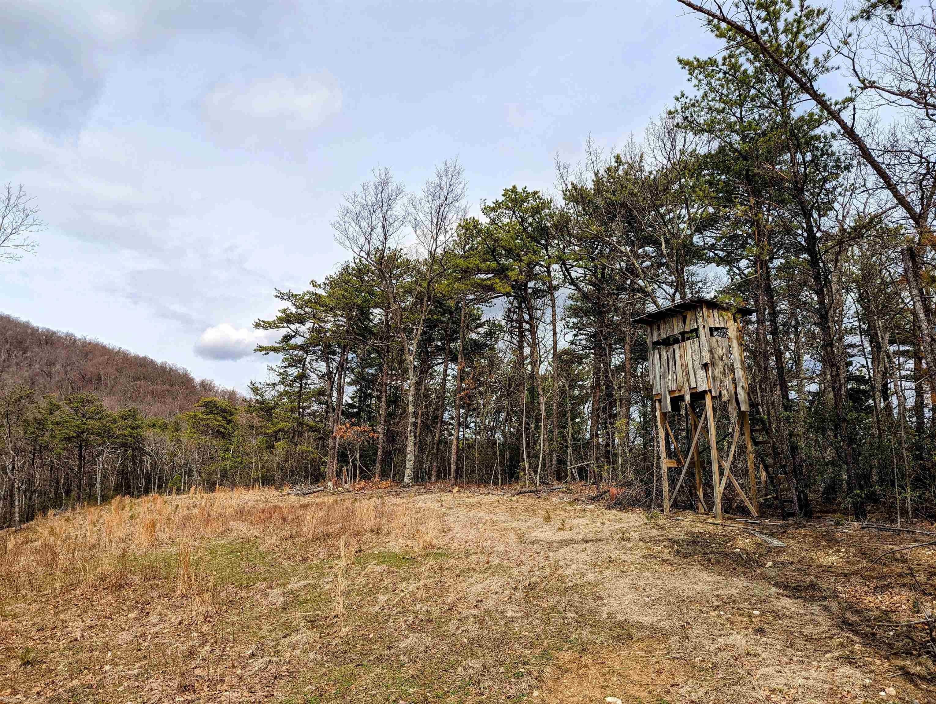 Callaway, Franklin County, VA Undeveloped Land for sale Property ID