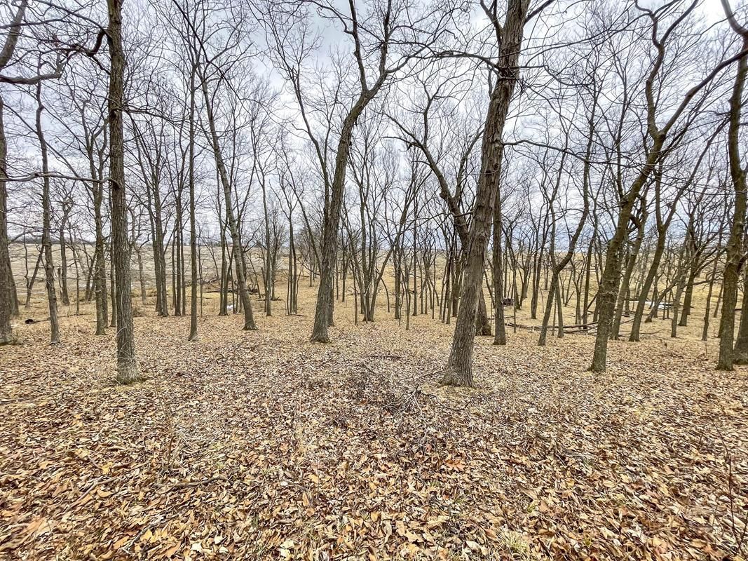 Silex, Lincoln County, MO Recreational Property, Undeveloped Land for sale Property ID