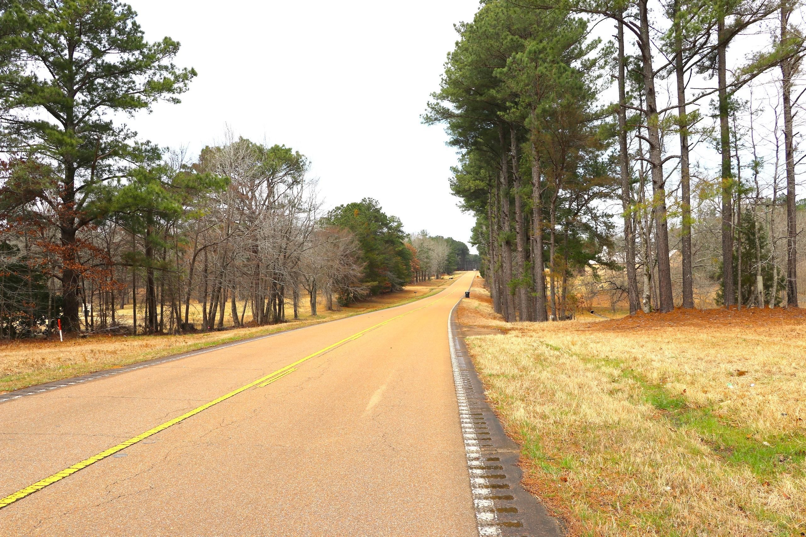 Winona, Montgomery County, MS Recreational Property, Timberland