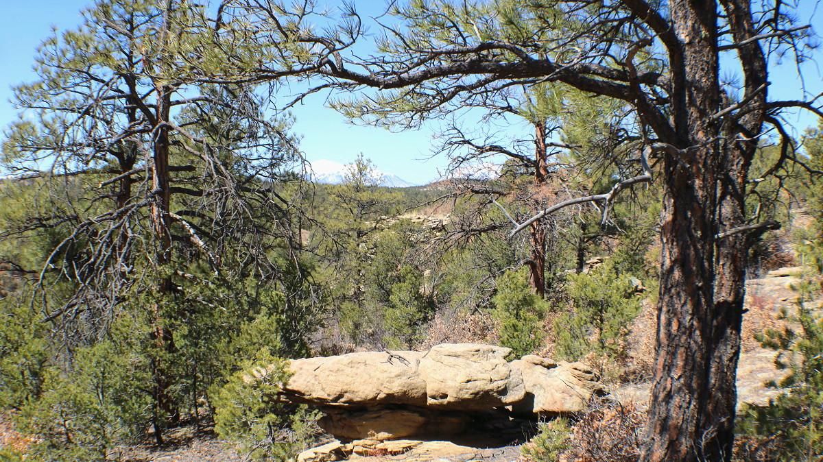 Boncarbo, Las Animas County, CO Farms and Ranches, Recreational