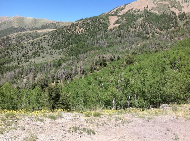 25 acres in Torrey, UT, 84775 MLS 1794064 LandWatch