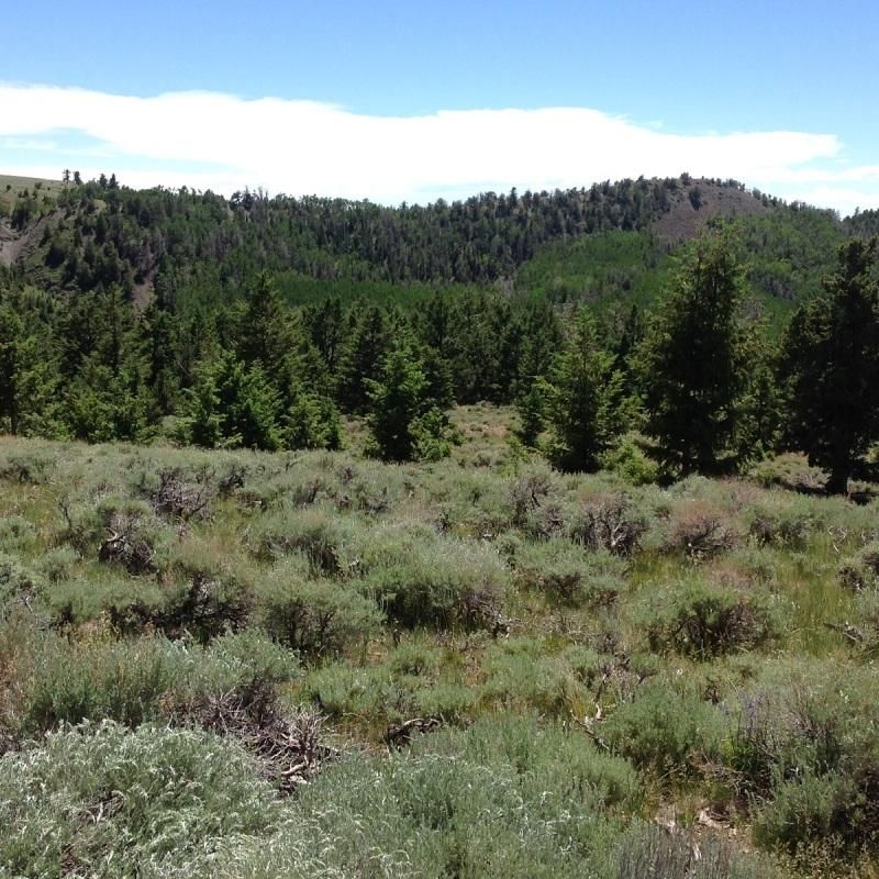 40 acres in Torrey, UT, 84775 MLS 1794057 LandWatch