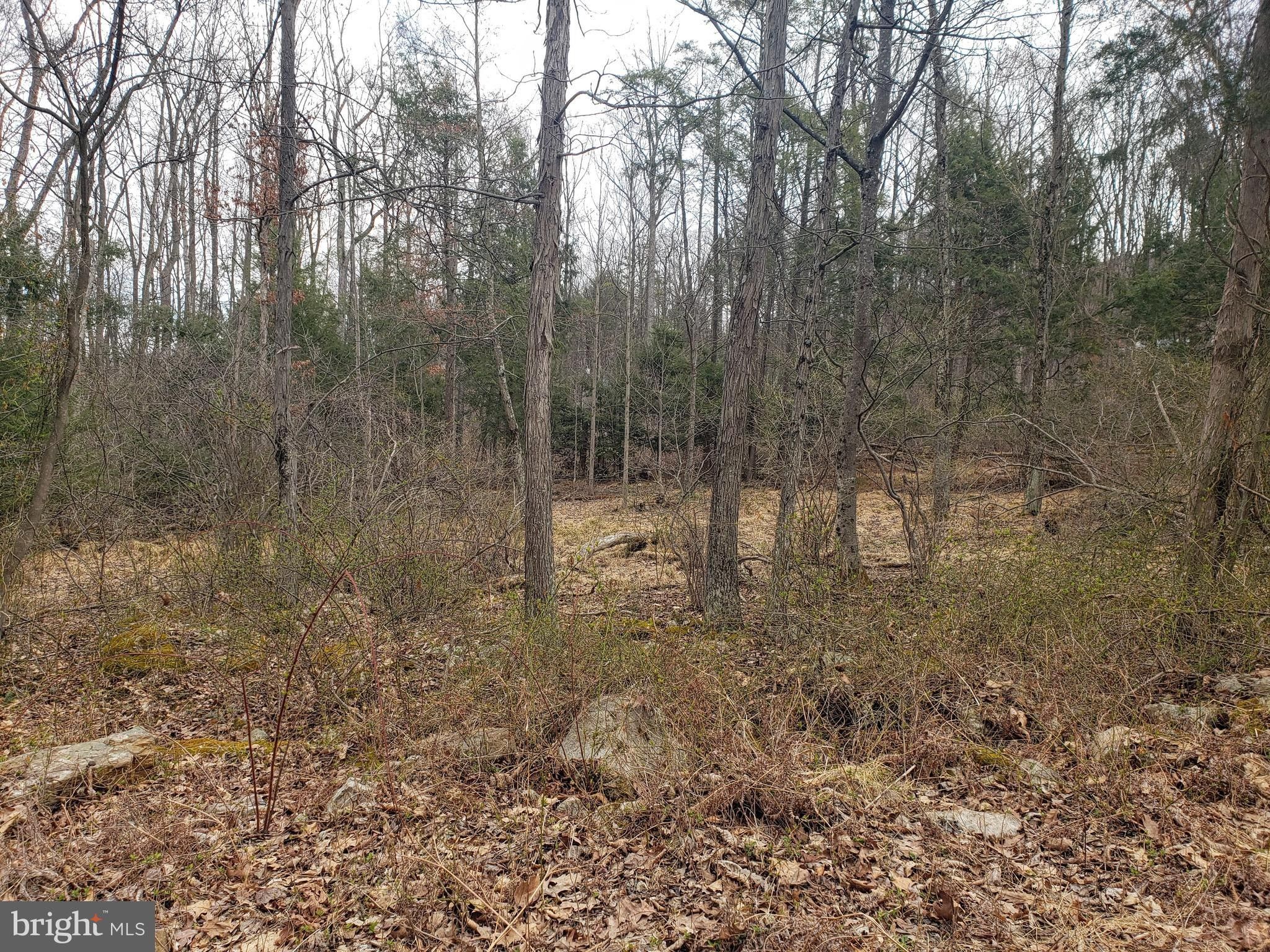 Port Royal, Juniata County, PA Undeveloped Land, Homesites for sale