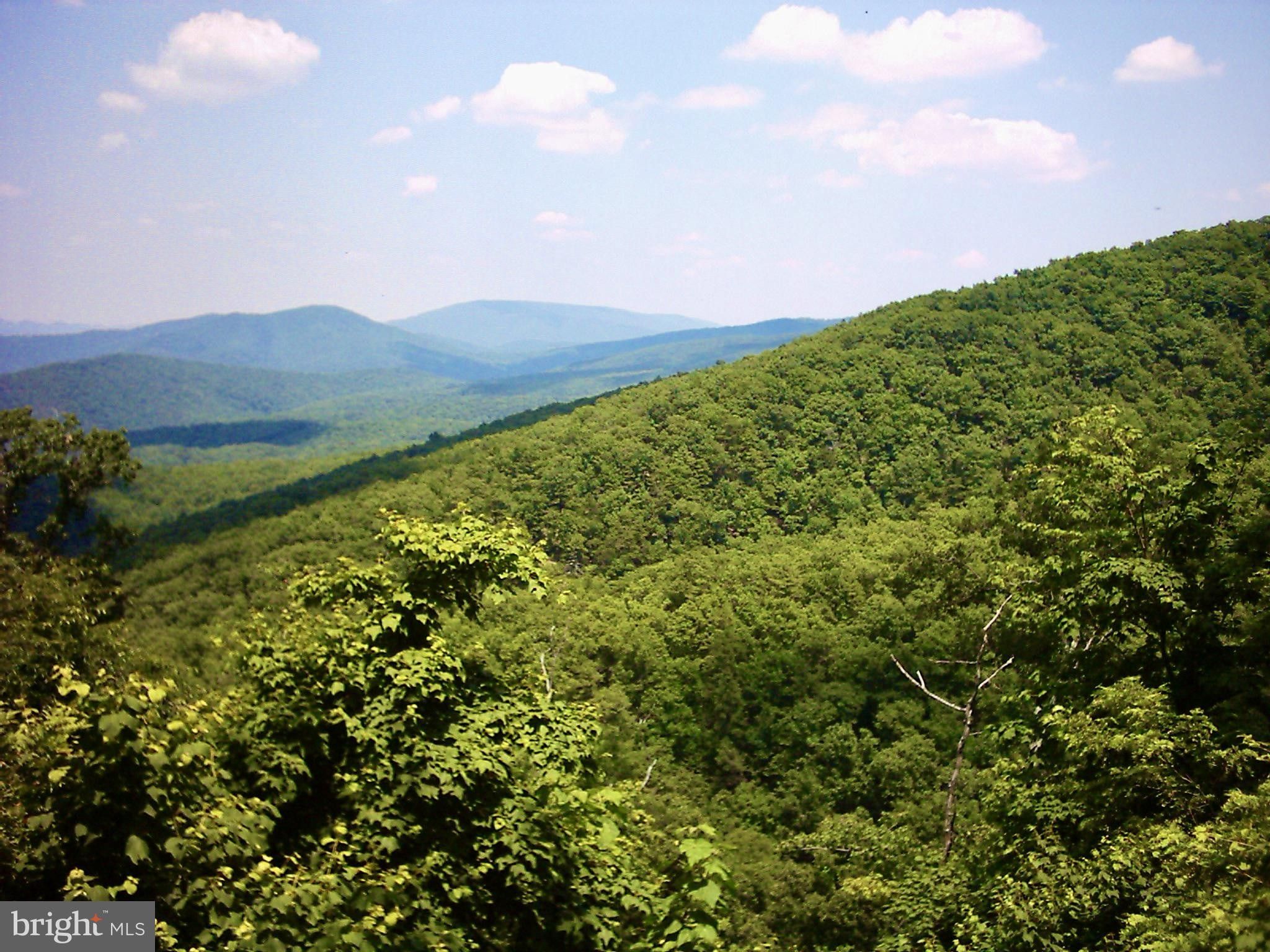 Moorefield, Hardy County, WV Undeveloped Land for sale Property ID