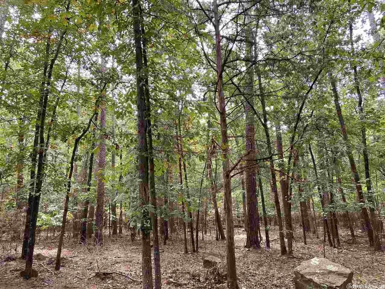 Drasco, Cleburne County, AR Undeveloped Land, Homesites for sale