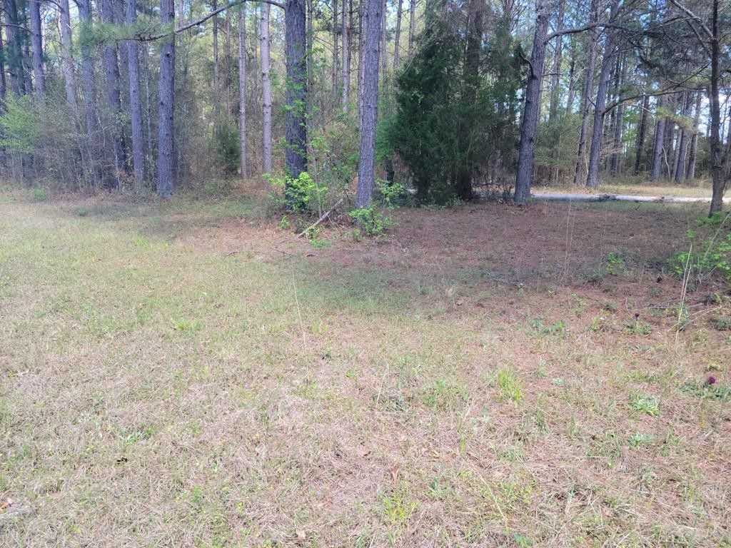 Fort Gaines, Clay County, GA Undeveloped Land, Homesites for sale