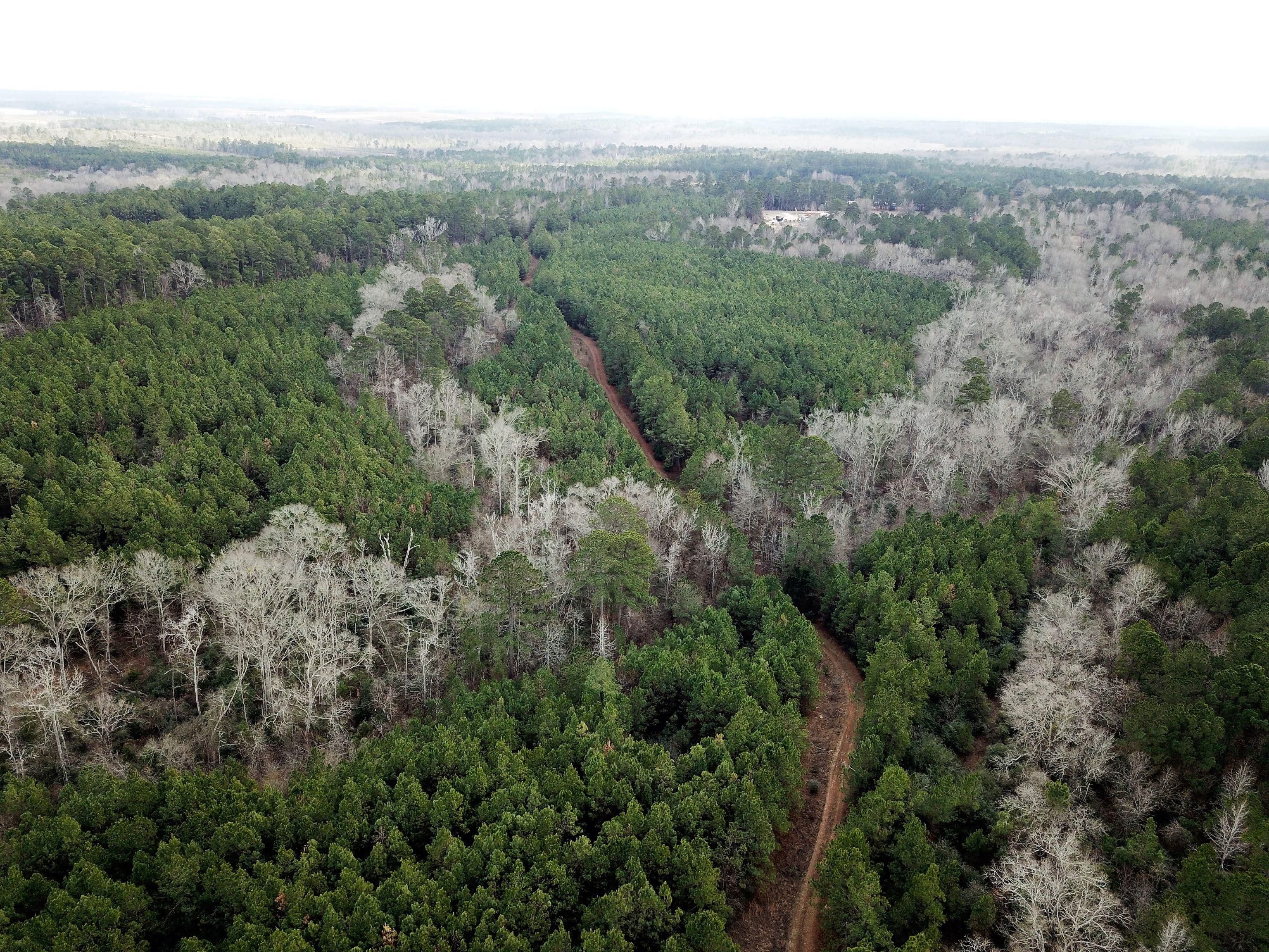 Tatum, Rusk County, TX Recreational Property, Timberland Property, Hunting Property for sale