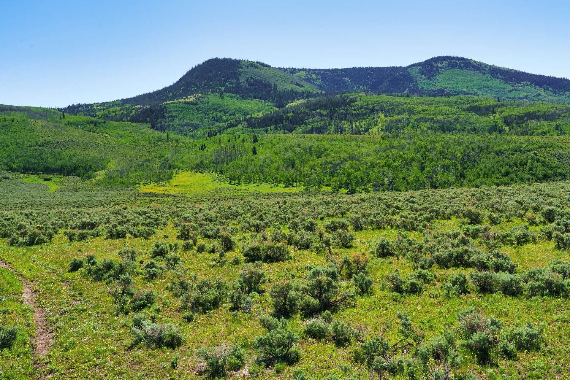 Yampa, Routt County, CO Recreational Property, Undeveloped Land