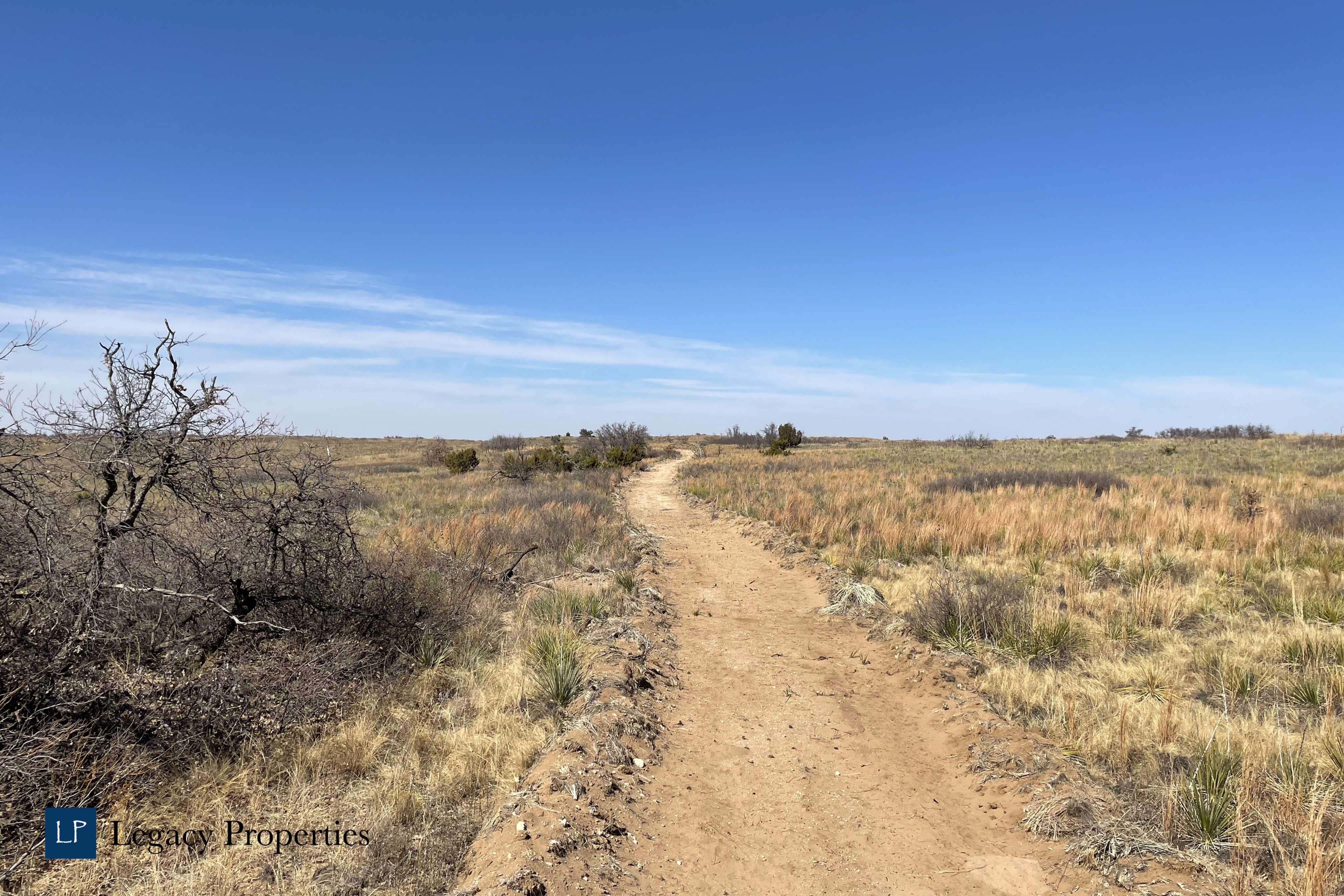 FM 684, Roaring Springs, TX 79256 LandWatch