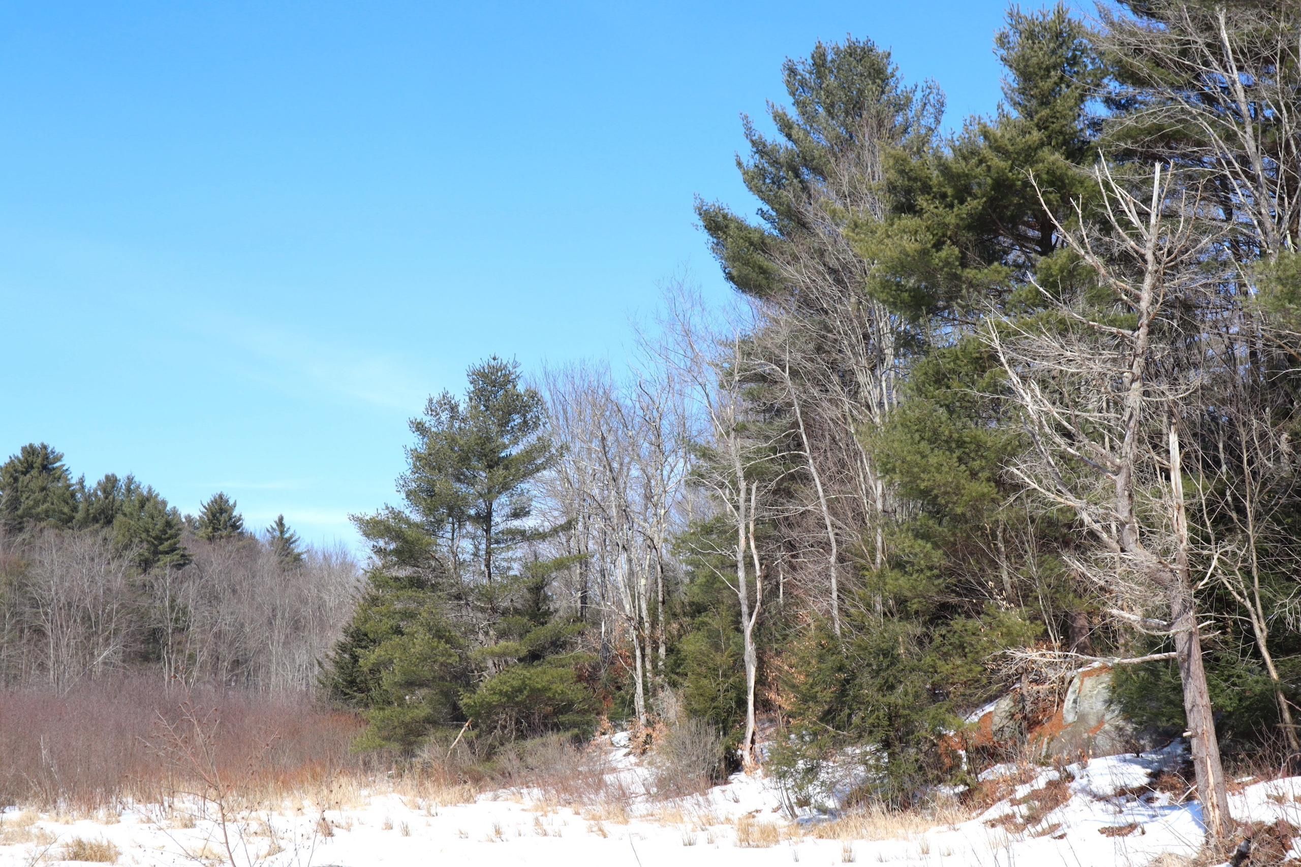 Ephratah, Fulton County, NY Recreational Property, Timberland Property