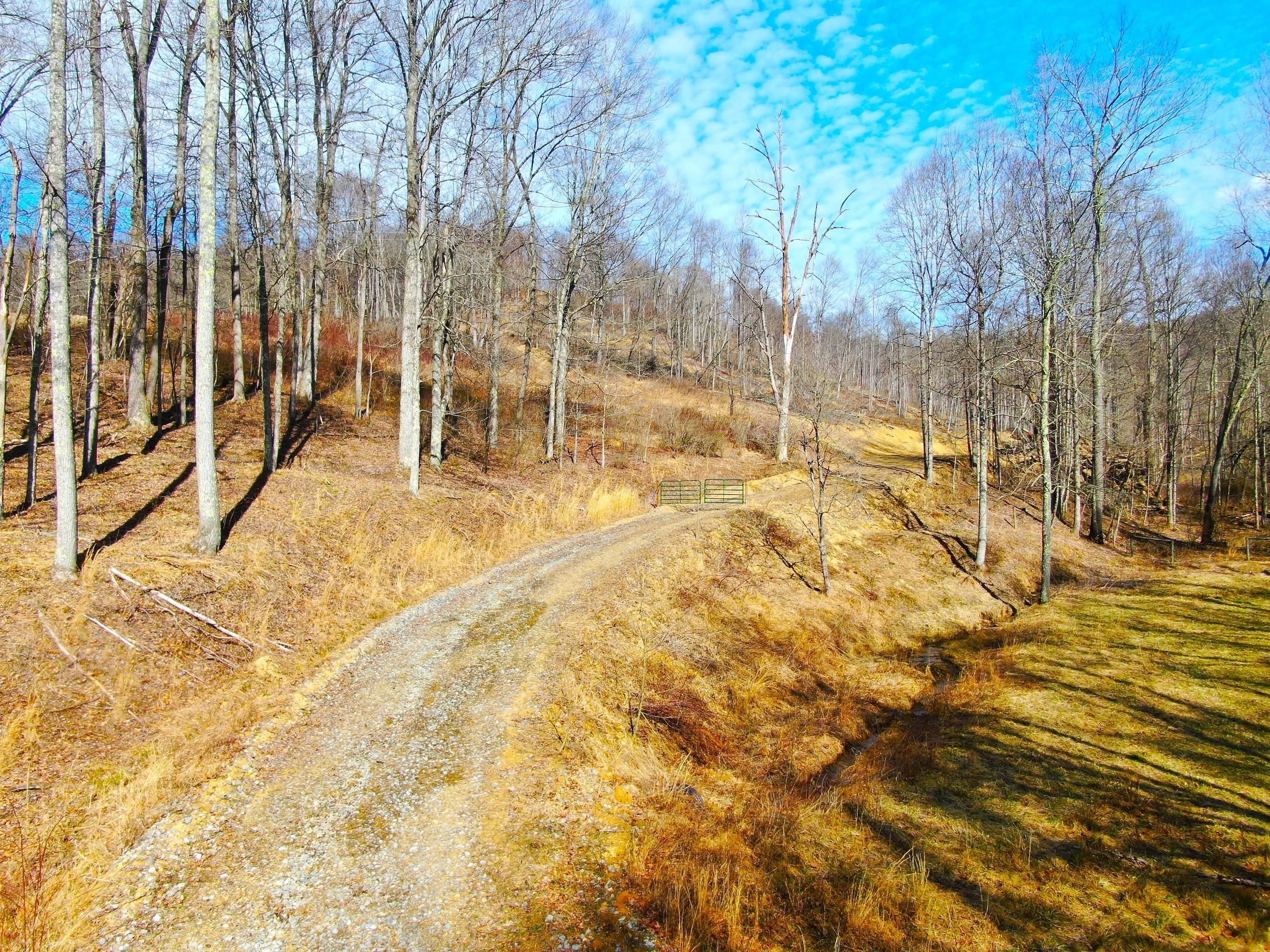 Wallace, Harrison County, WV Recreational Property, Timberland Property