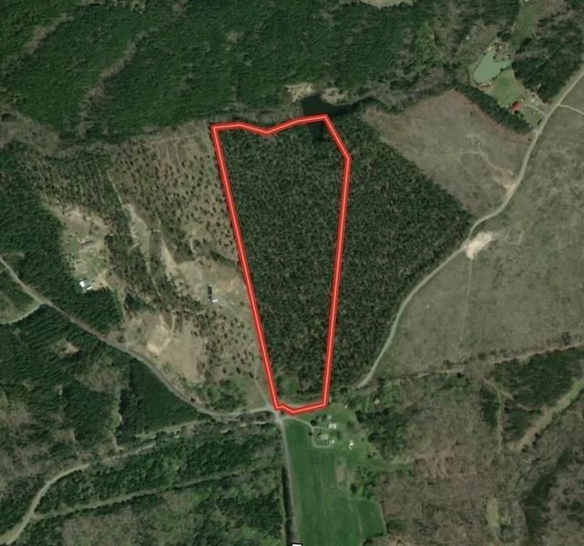 Meadville, Halifax County, VA Recreational Property, Timberland