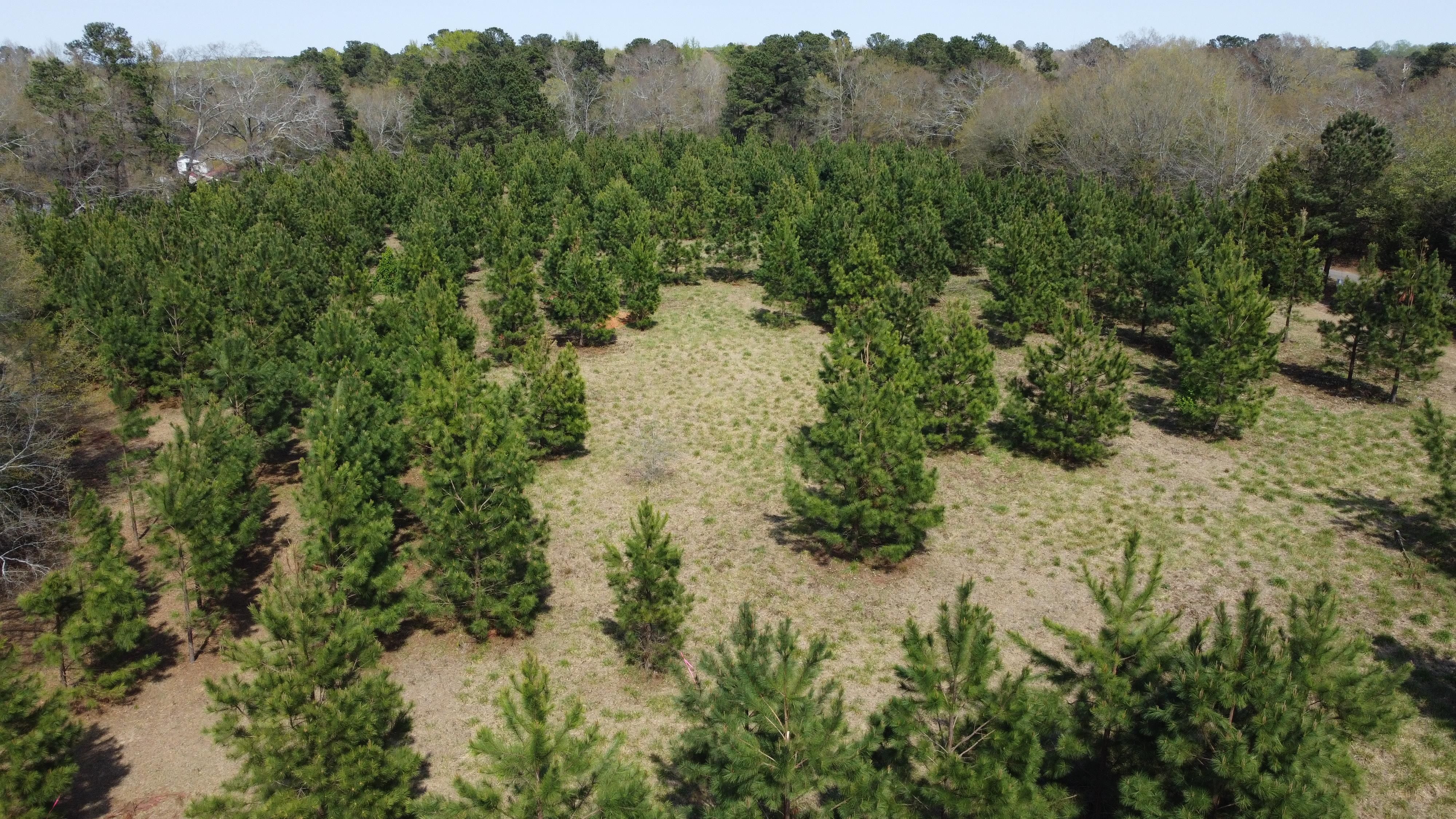 BatesburgLeesville, Lexington County, SC Undeveloped Land, Homesites