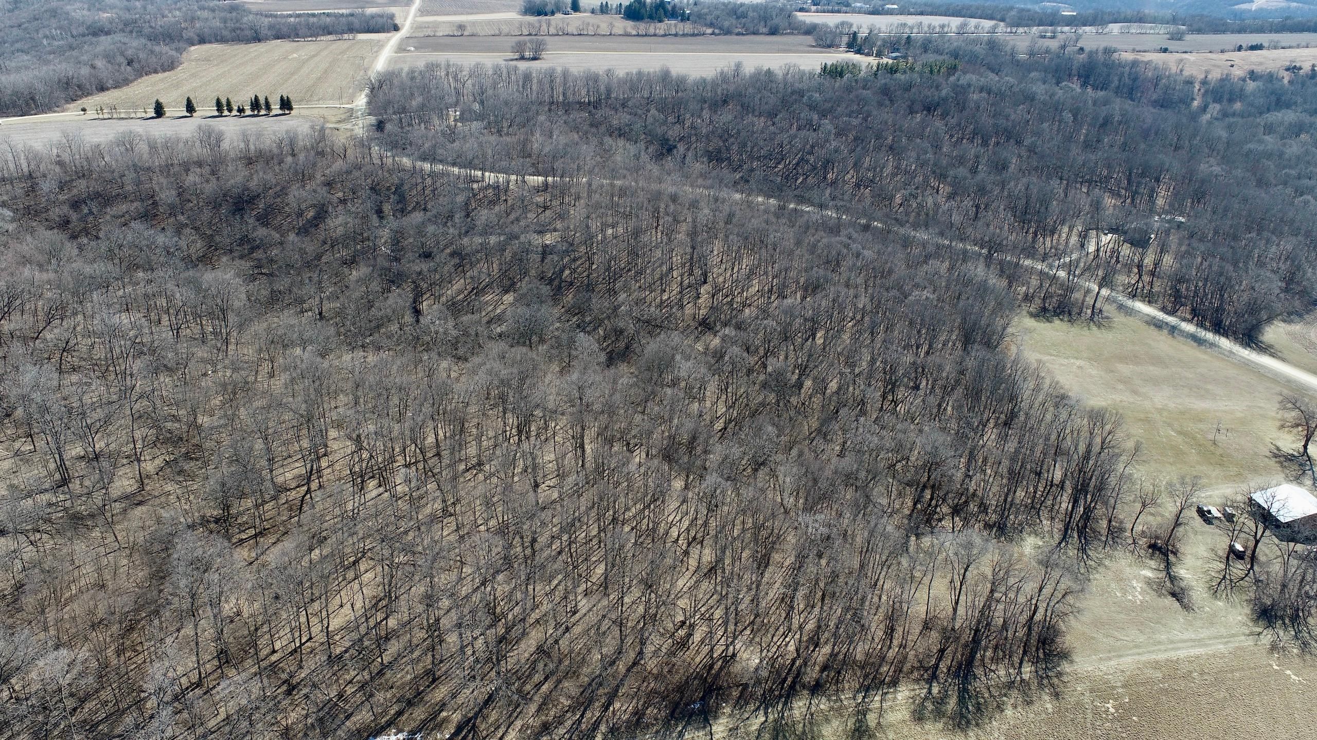 Cannon Falls, Goodhue County, MN Recreational Property, Hunting