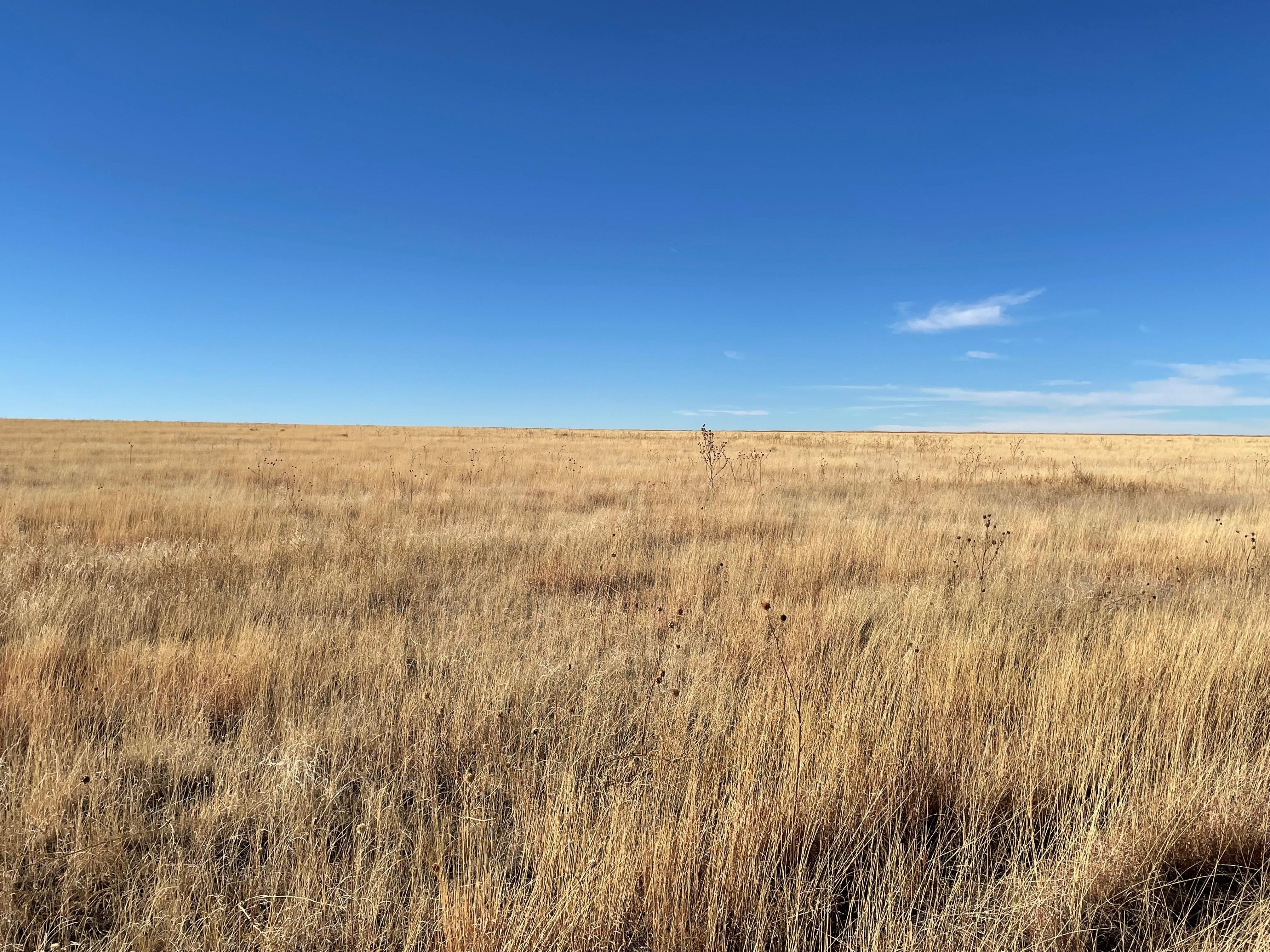 Las Animas, Bent County, CO Recreational Property, Undeveloped Land, Hunting Property for sale