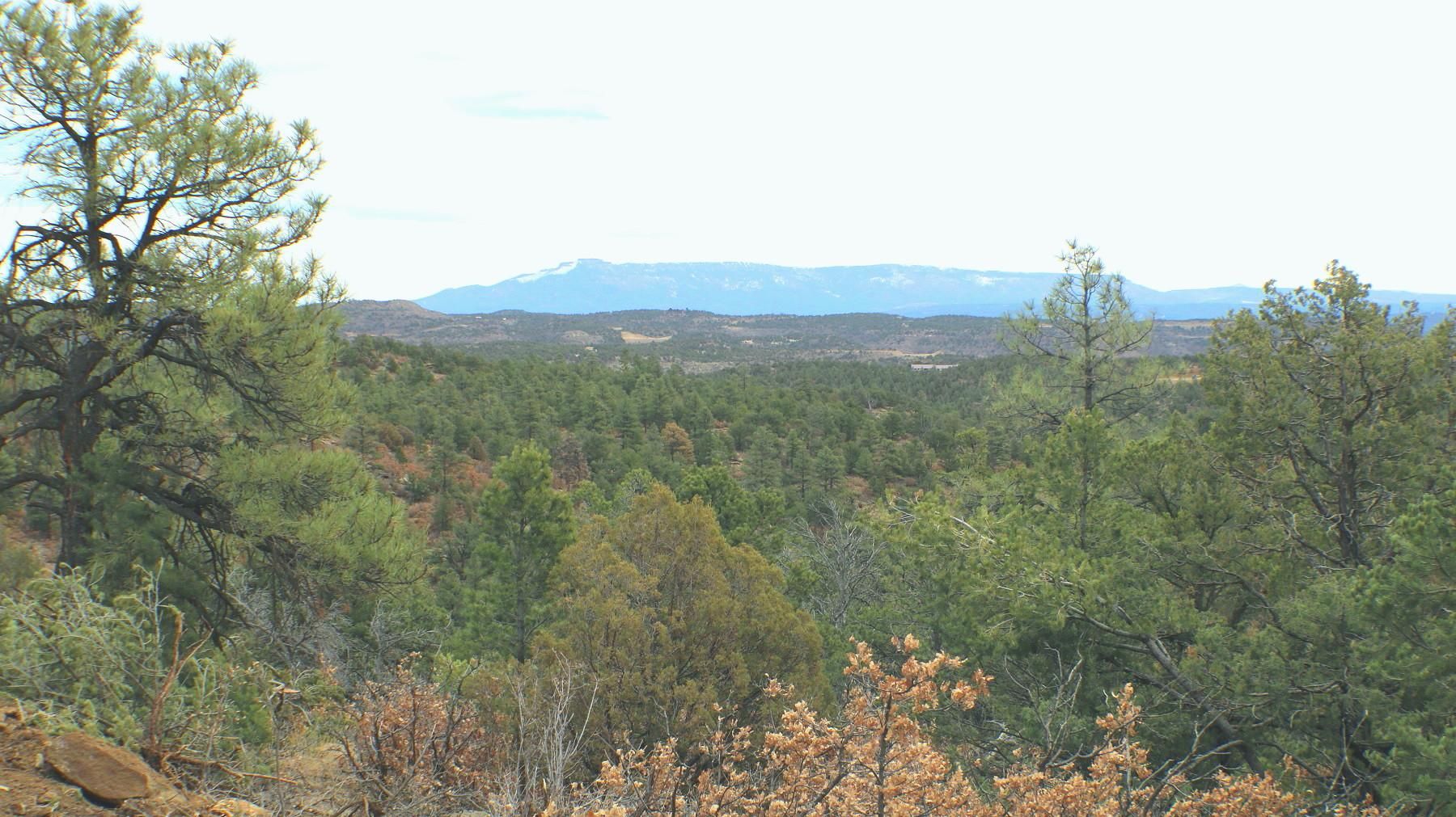 Weston, Las Animas County, CO Farms and Ranches, Recreational Property
