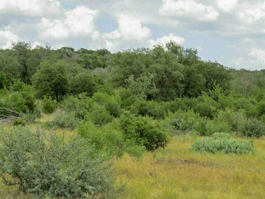 Rocksprings, Edwards County, TX Recreational Property, Hunting Property