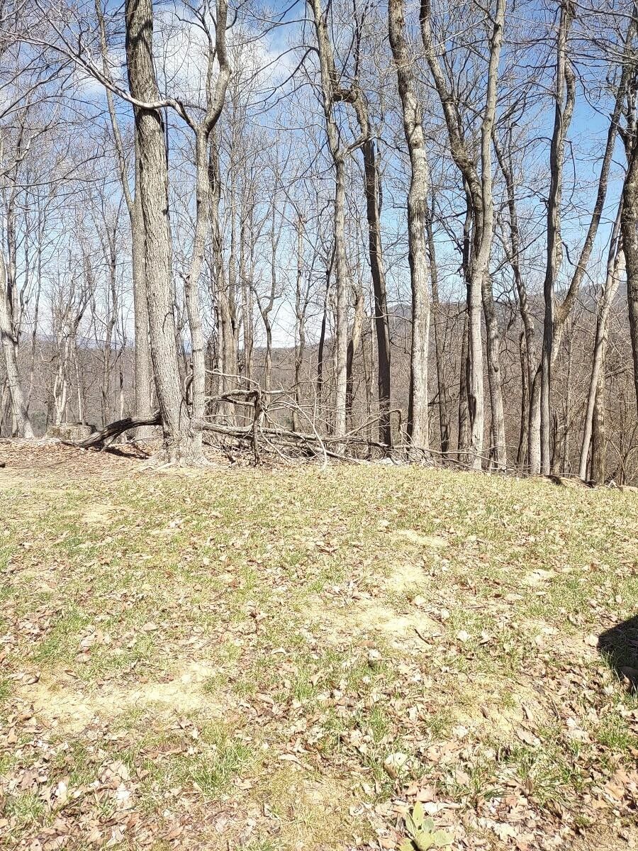 Elliston, Montgomery County, VA Farms and Ranches for sale Property ID 413103896 LandWatch