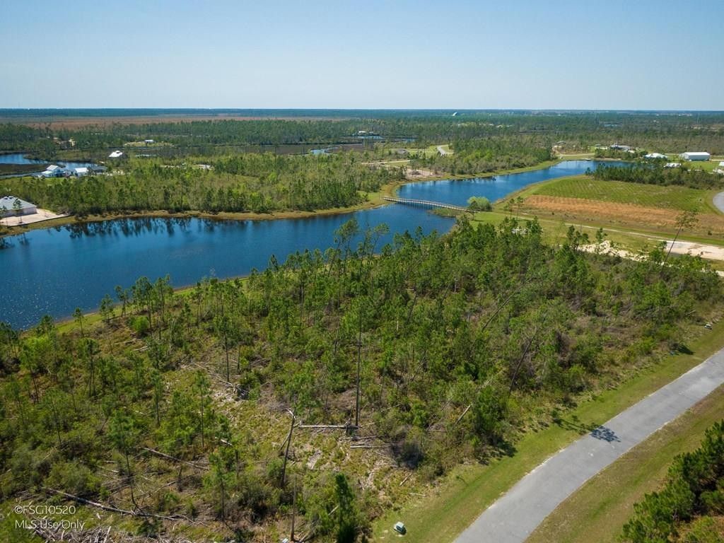 Wewahitchka, Gulf County, FL Undeveloped Land, Lakefront Property