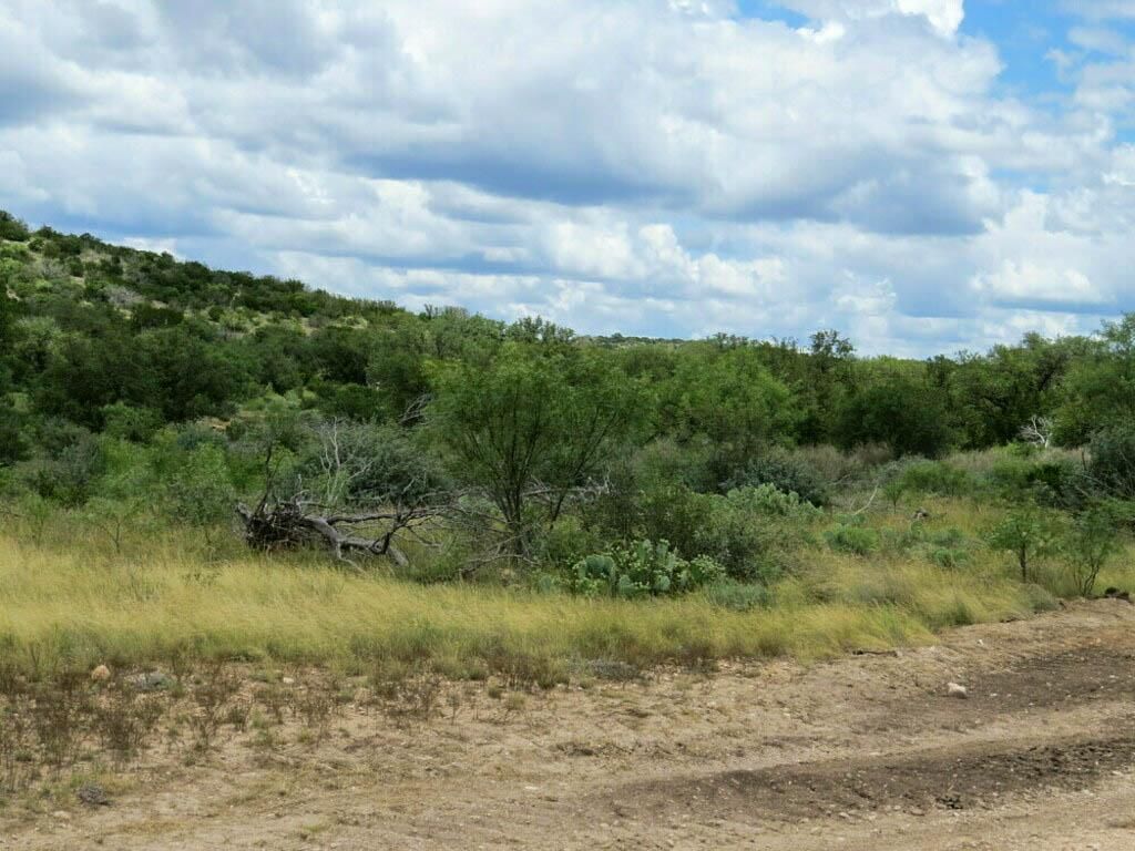 Rocksprings, Edwards County, TX Recreational Property, Hunting Property