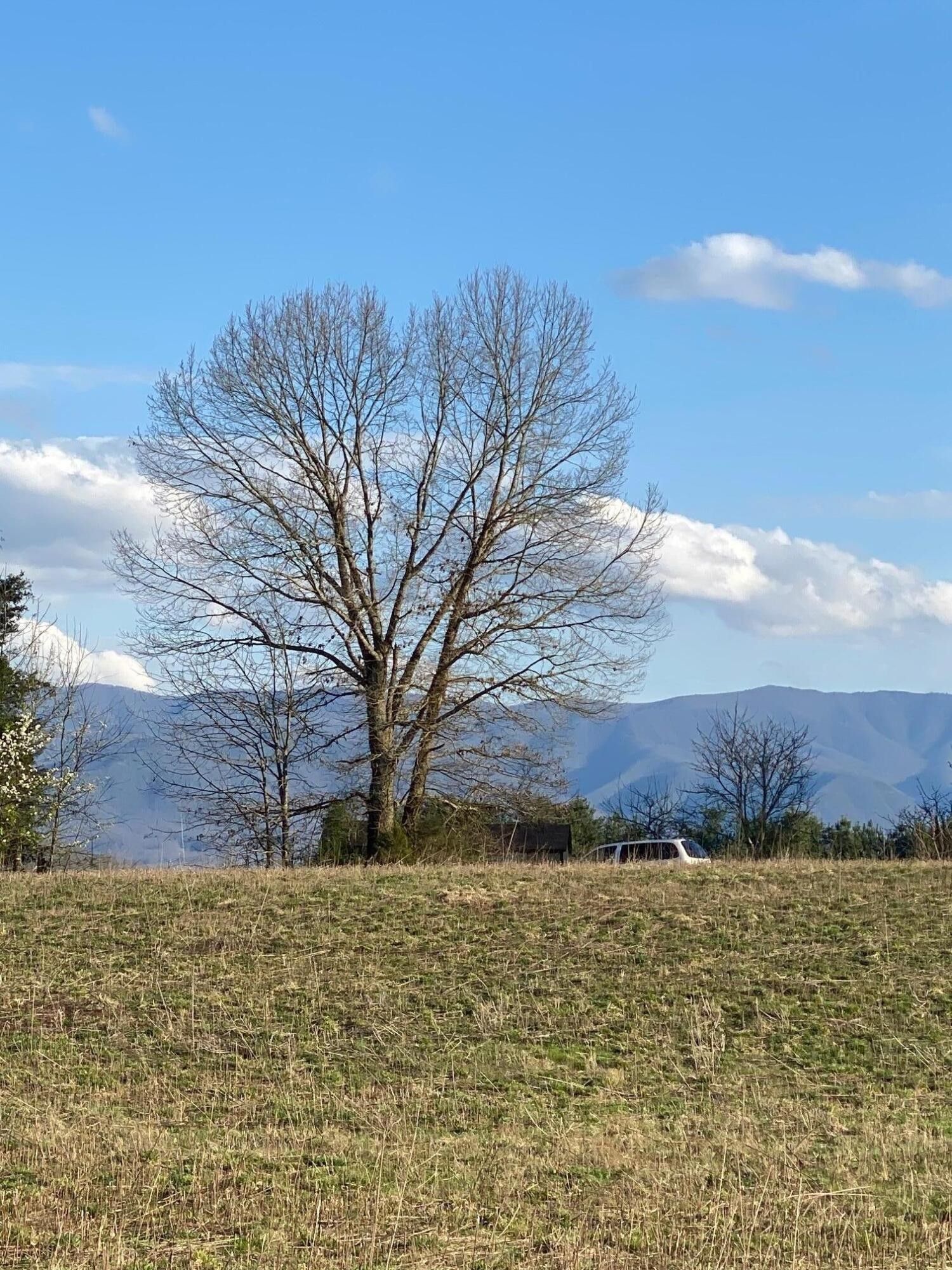 Greeneville, Greene County, TN Undeveloped Land, Homesites for sale