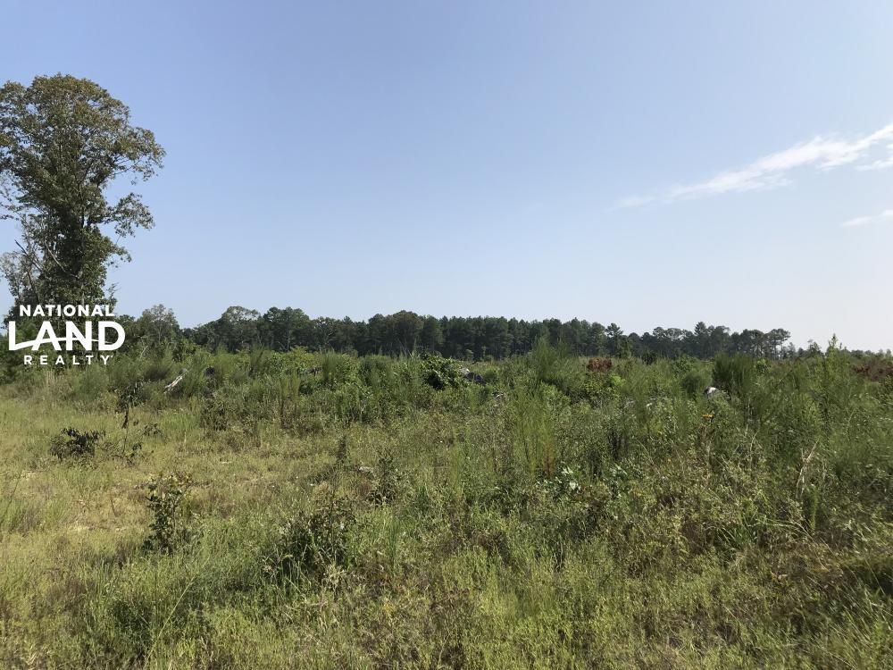 Bastrop, Morehouse Parish, LA Recreational Property, Timberland