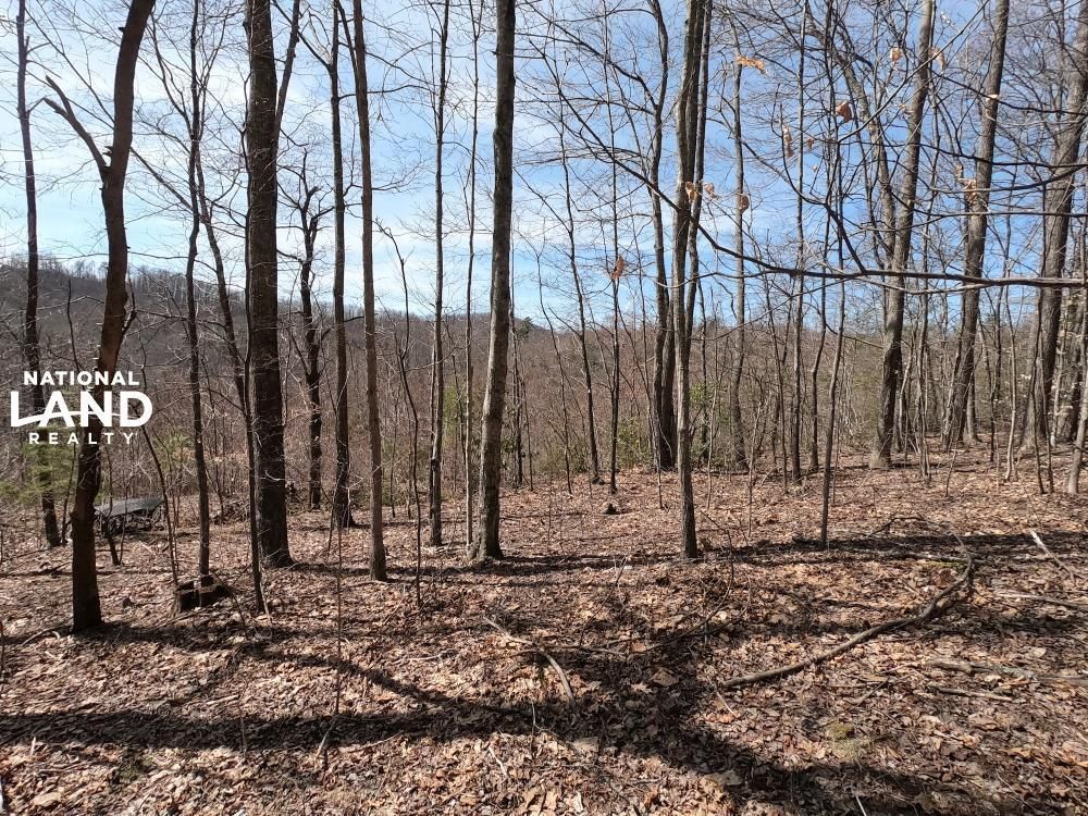 Hendersonville, Henderson County, NC Recreational Property, Hunting Property for sale Property