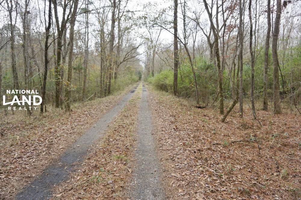 0 Allenton Road, Pine Apple, AL 36768 LandWatch