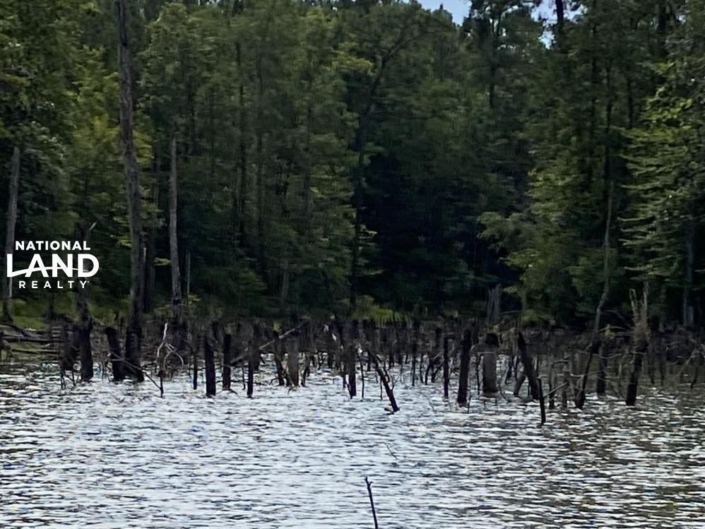 Lucedale, County, MS Recreational Property, Timberland Property, Hunting Property for
