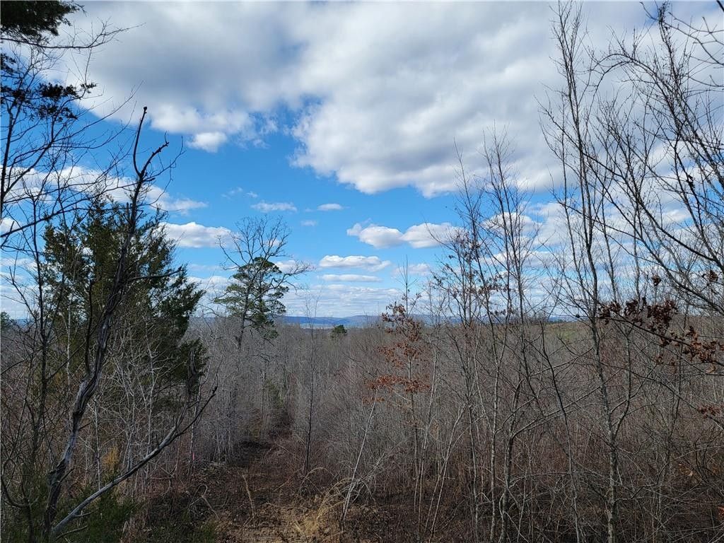 Smithville, McCurtain County, OK Undeveloped Land for sale Property ID