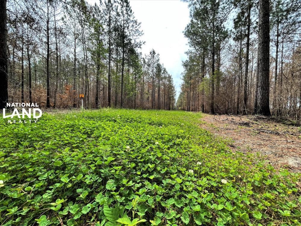 Hamilton, Martin County, NC Recreational Property, Timberland Property