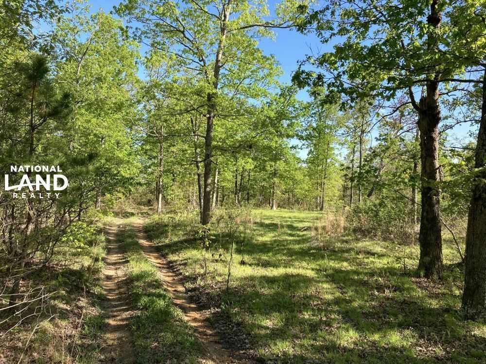 Annapolis, Iron County, MO Recreational Property, Timberland Property, Hunting Property for sale