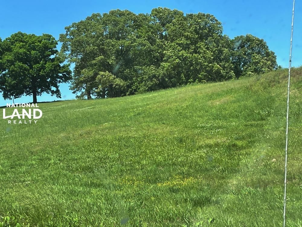 Jacks Creek, Chester County, TN Farms and Ranches for sale Property ID