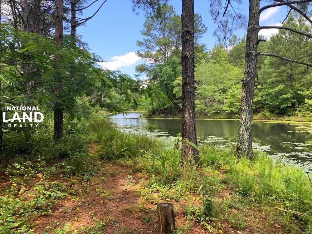 Co Rd 81, Pisgah, AL 35765 LandWatch