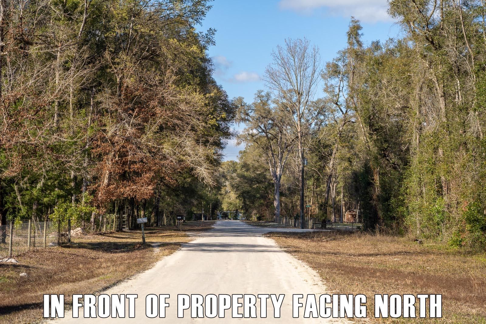 Old Town, Dixie County, FL Recreational Property, Undeveloped Land