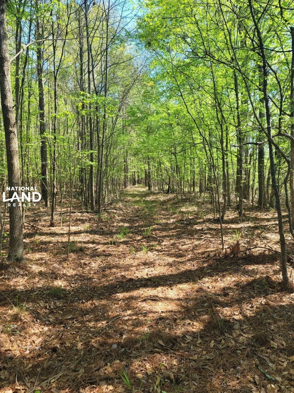 Smithdale, Amite County, MS Recreational Property, Timberland Property