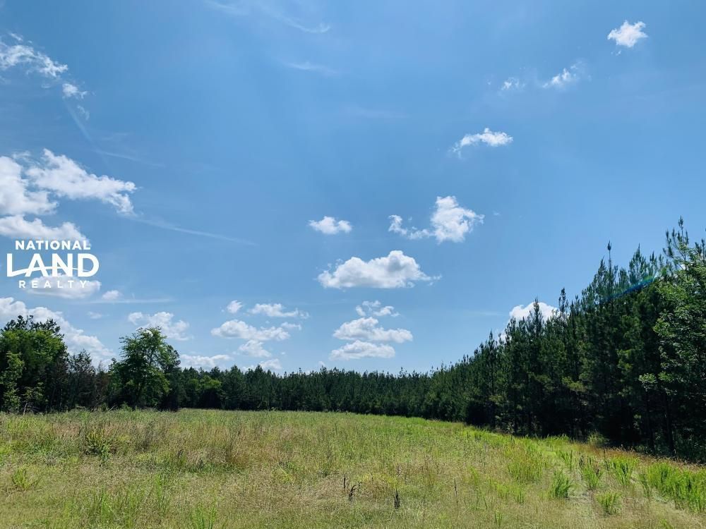 Carlisle, Chester County, SC Recreational Property, Timberland Property