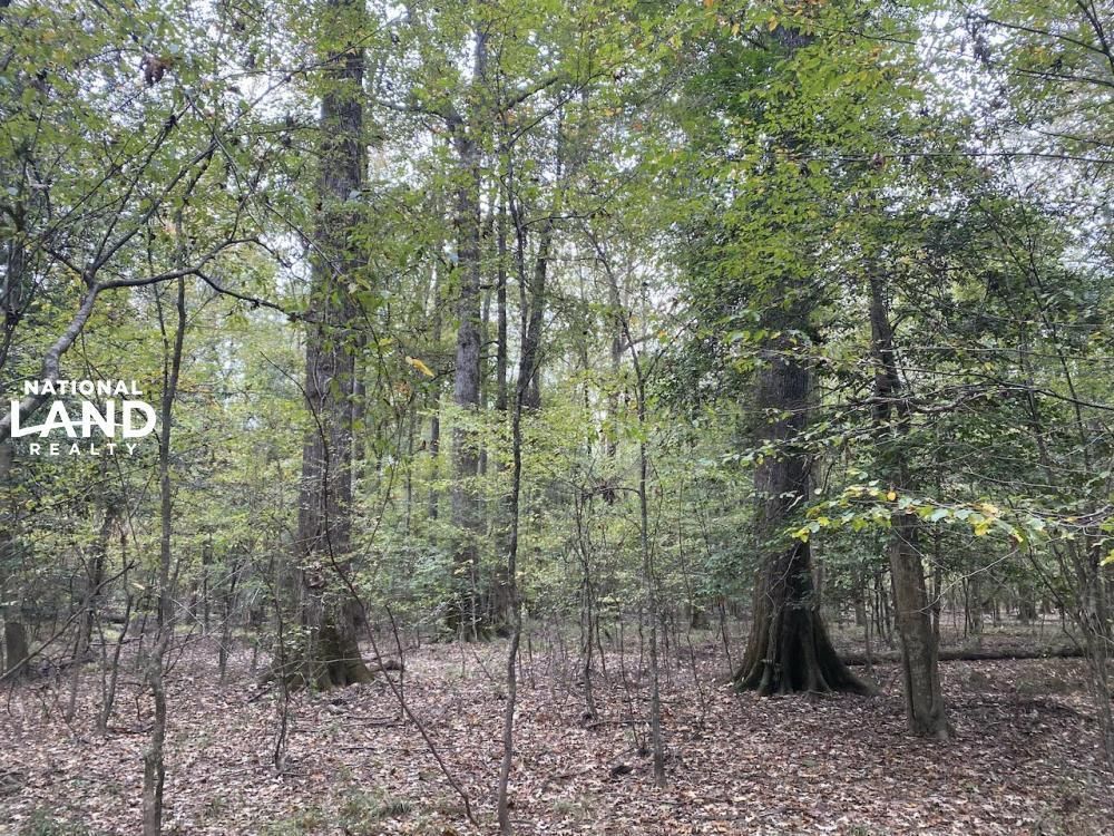 Fordyce, Dallas County, AR Recreational Property, Timberland Property