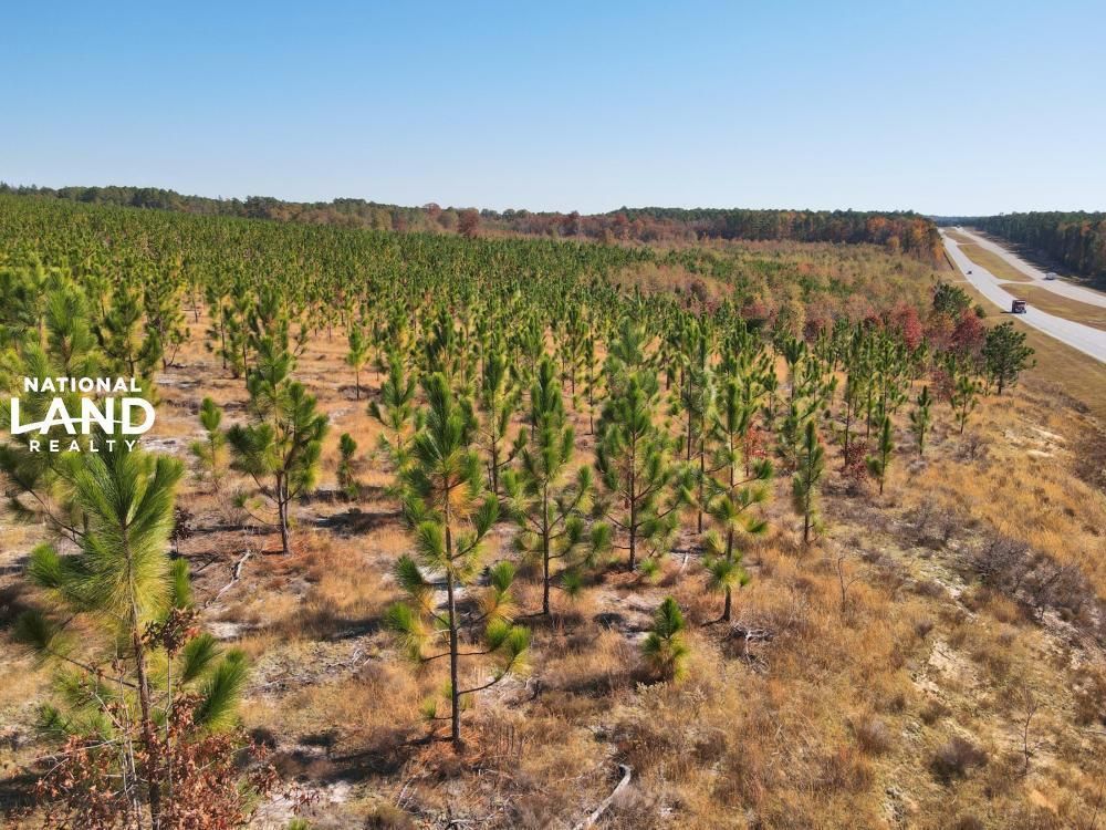 Mcbee, Chesterfield County, SC Recreational Property, Timberland