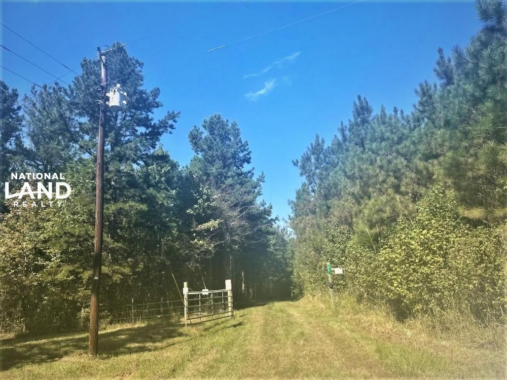 Vardaman, Calhoun County, MS Recreational Property, Timberland Property