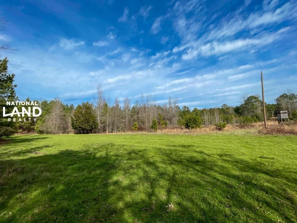 Orrville, Dallas County, AL Recreational Property, Timberland Property