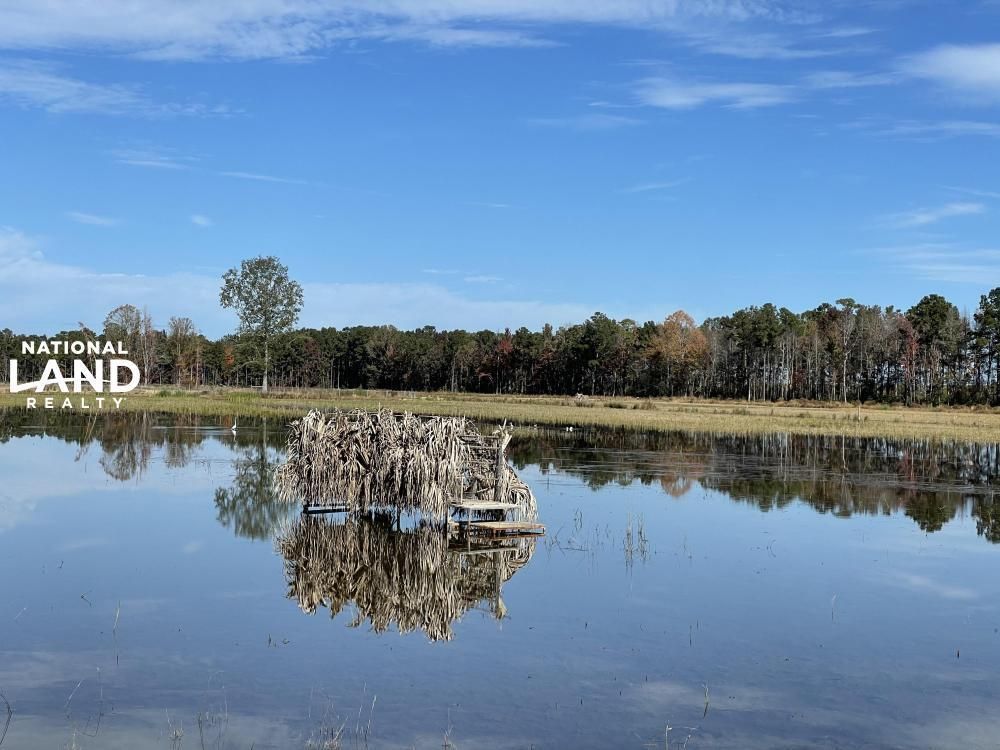 1324 Highway 6, Pinopolis, SC 29469 LandWatch