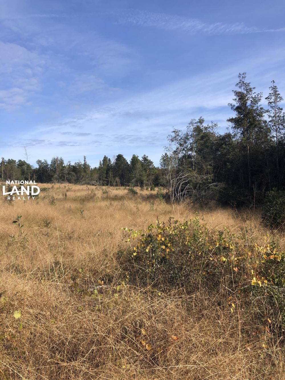 Brooklyn, Forrest County, MS Recreational Property, Timberland Property