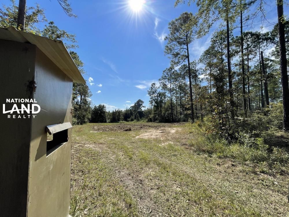 Tibbie, Washington County, AL Recreational Property, Timberland