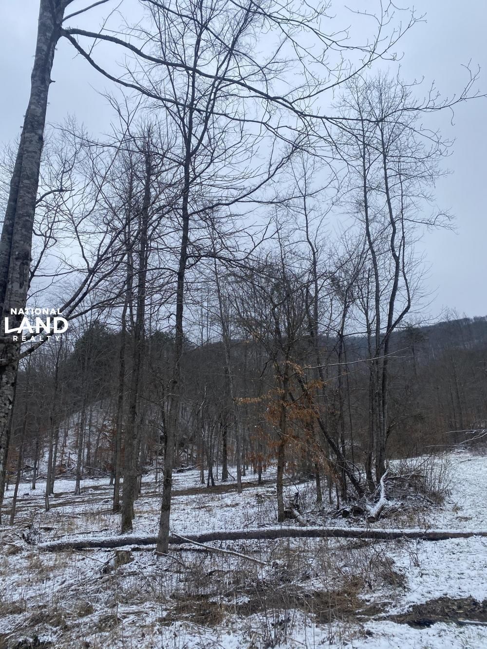 Oneida, Scott County, TN Recreational Property, Undeveloped Land