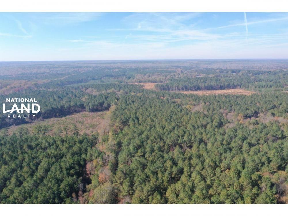 Camden, Madison County, MS Recreational Property, Timberland Property