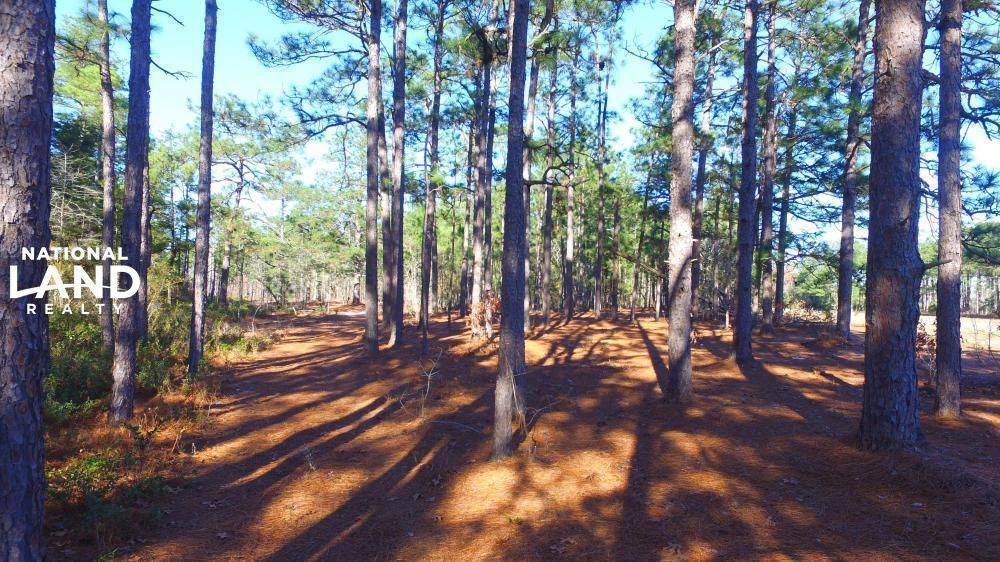 Elizabethtown, Bladen County, NC Recreational Property, Timberland