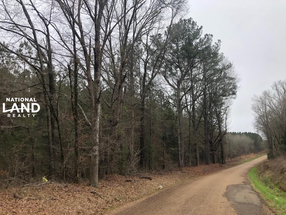 Kosciusko, Attala County, MS Recreational Property, Timberland Property