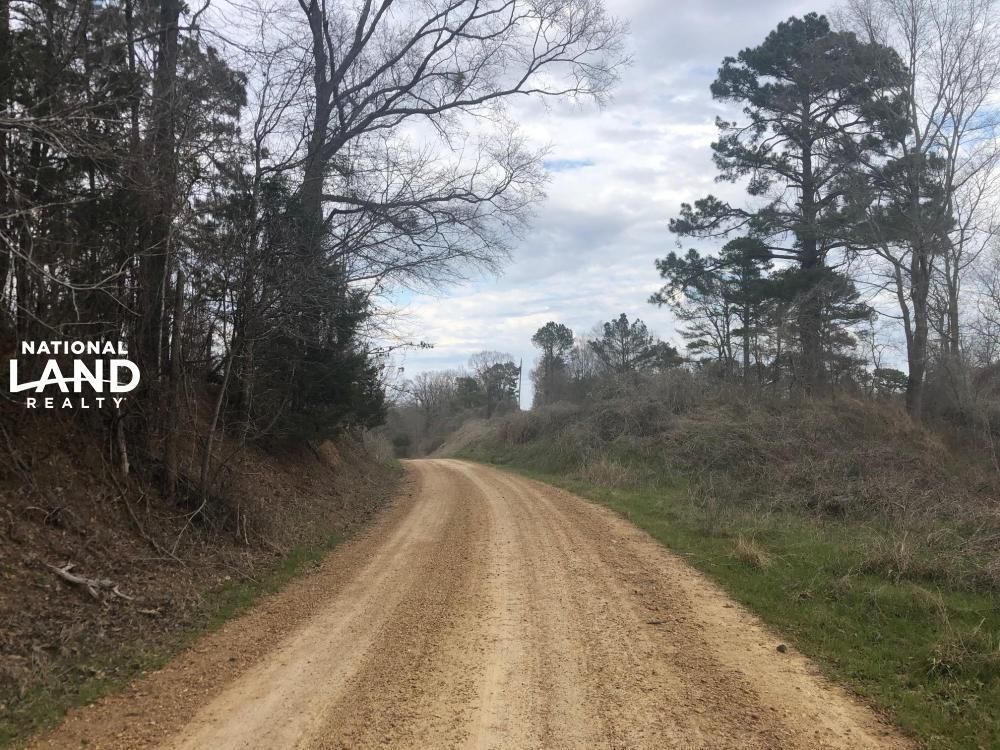 Durant, Holmes County, MS Recreational Property, Hunting Property for