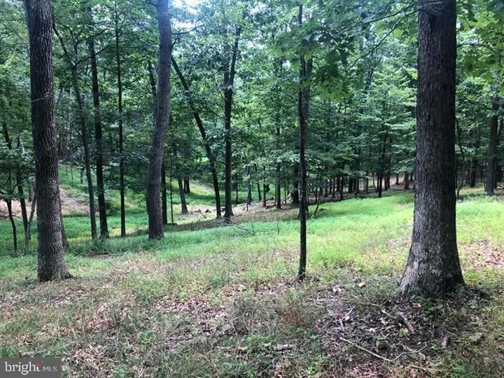 Romney, Hampshire County, WV Recreational Property, Hunting Property